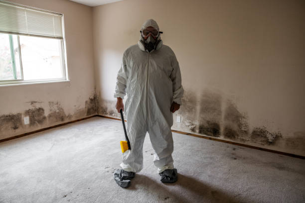 Best Industrial Mold Remediation in Long View, NC